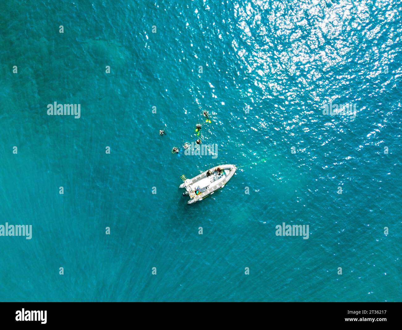 Aerial view group swimming hi-res stock photography and images - Alamy