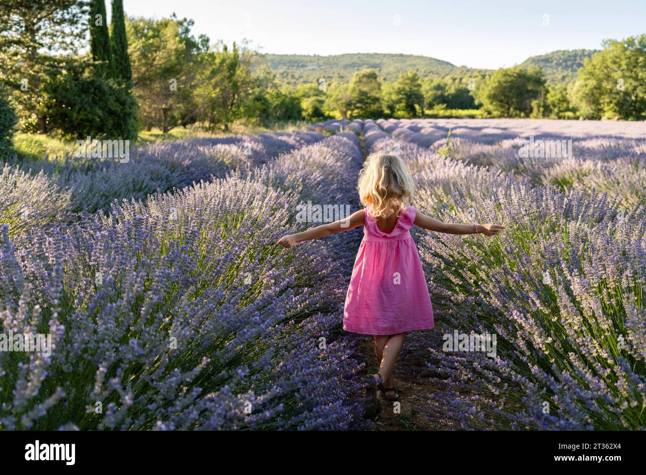 Carefree girl spending leisure time in lavender field Stock Photo