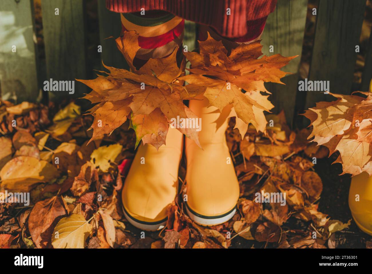 Girl wearing rubber boots and standing in garden Stock Photo - Alamy