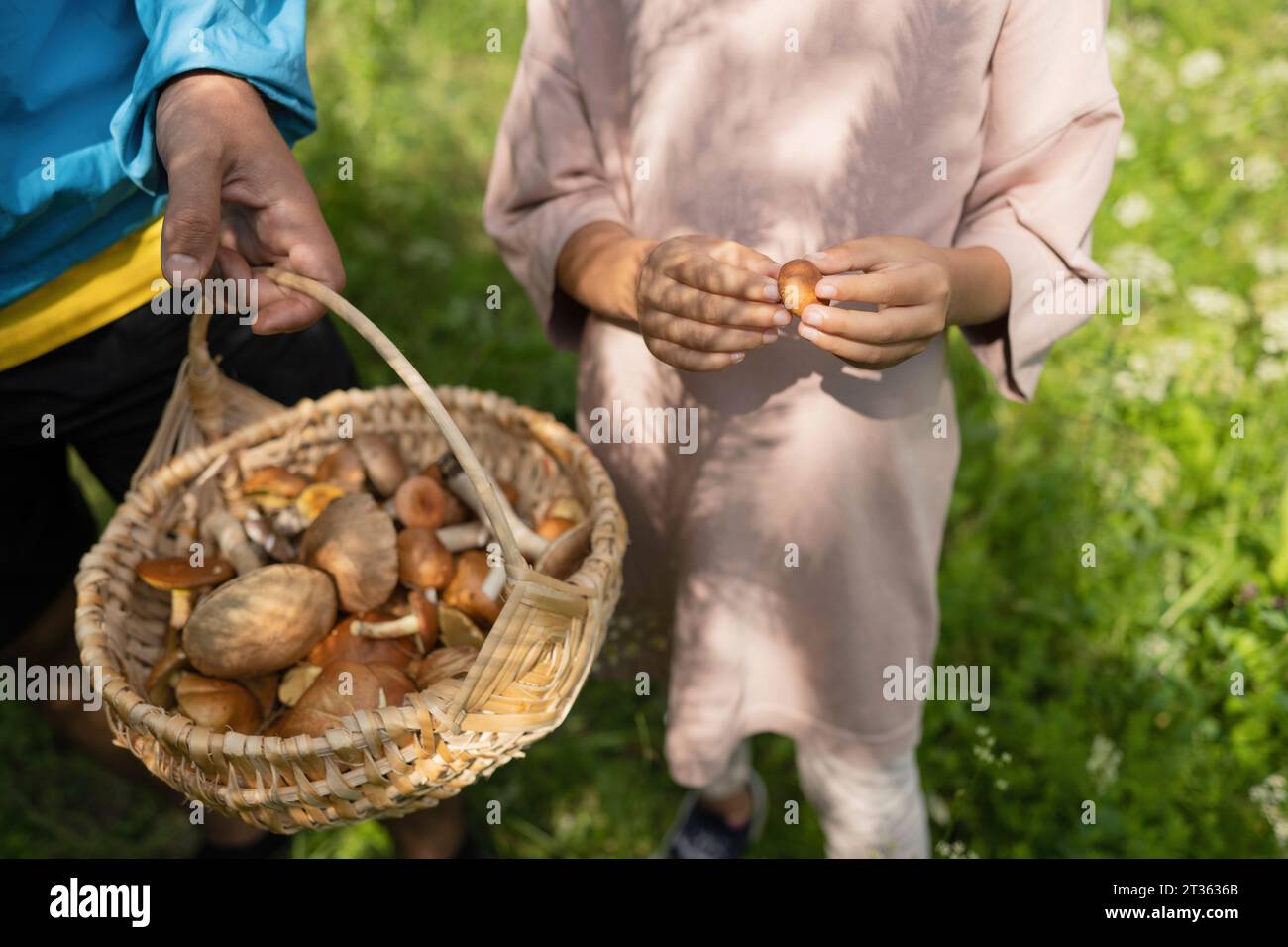 Father and daughter collecting mushrooms in basket in forest Stock