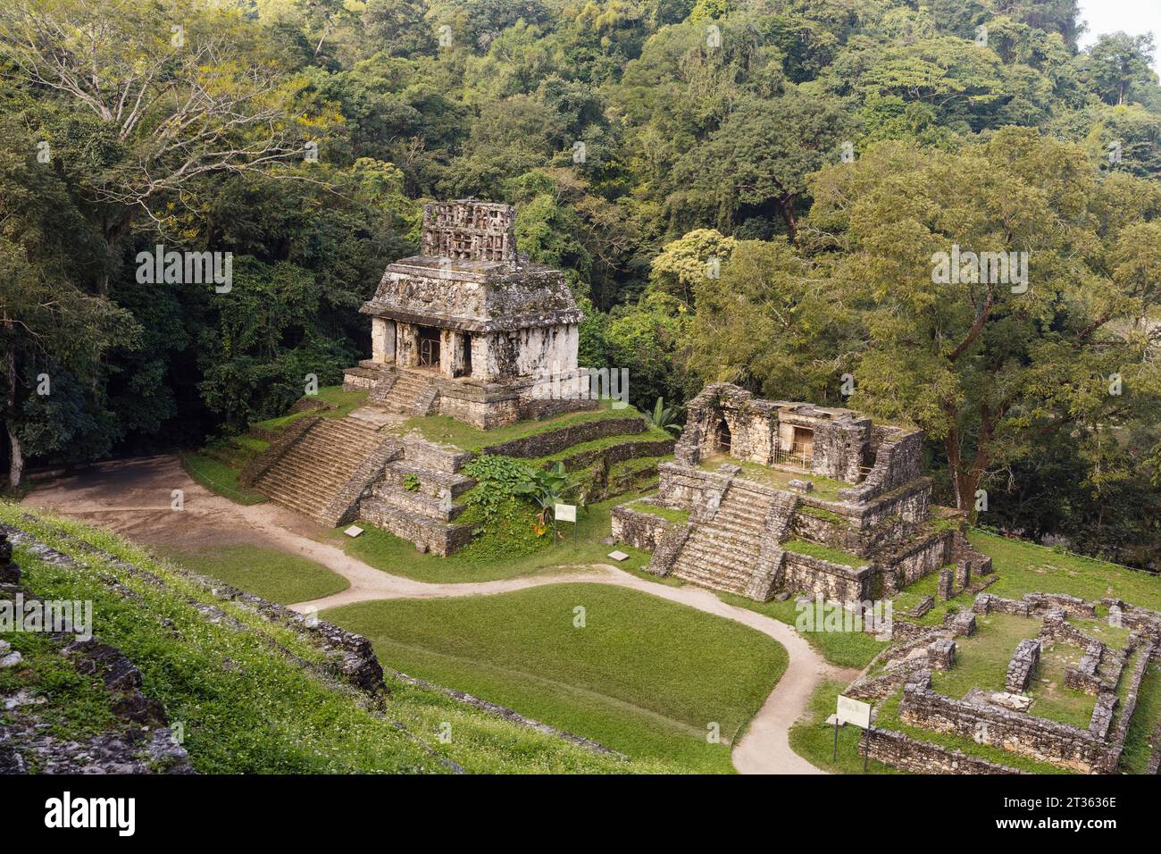 Mayan pyramids with trees in background Stock Photo
