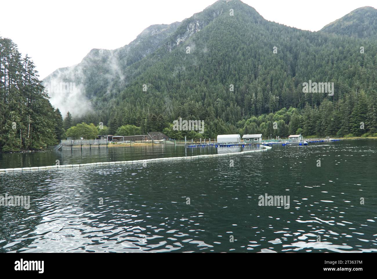 Commercial Salmon Hatchery Stock Photo Alamy