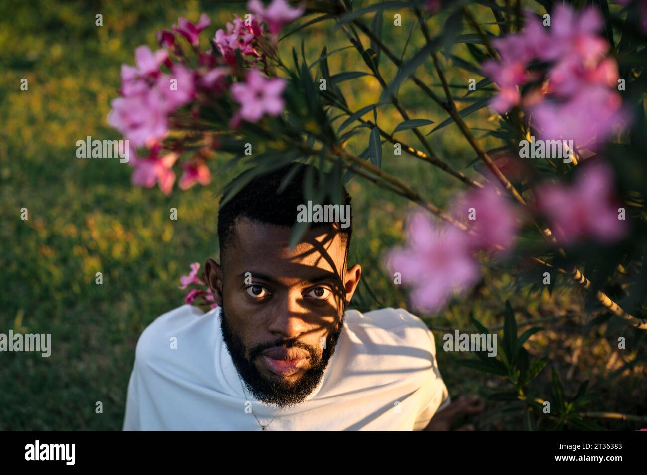 Young man under flowering plant in park Stock Photo