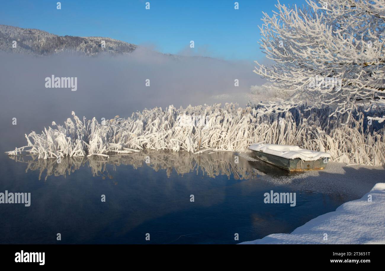 Austria, Upper Austria, Zell am Moos, Thick fog over frosted shore of Irrsee lake Stock Photo