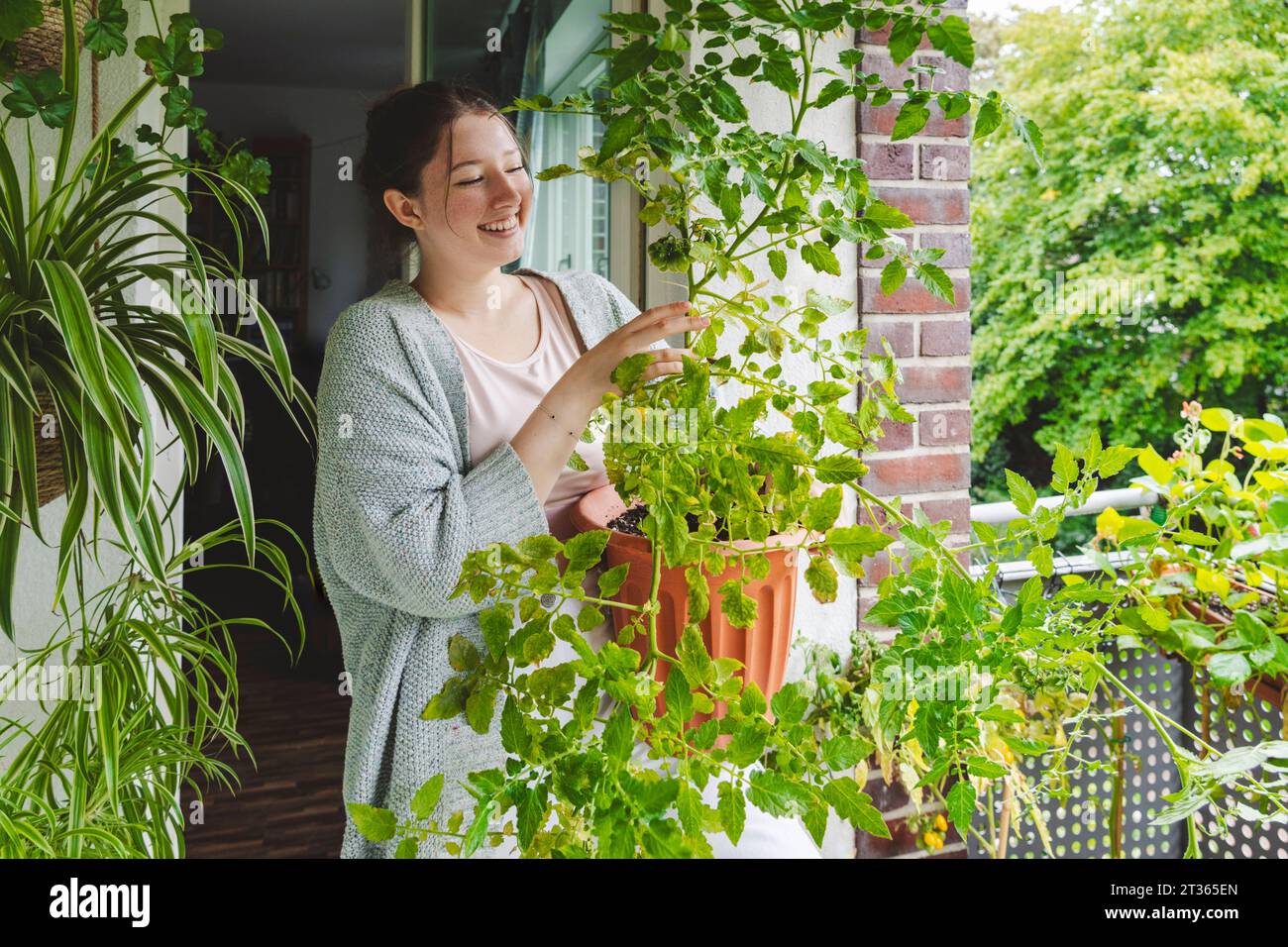 Happy teenage girl with potted tomato plant on balcony Stock Photo