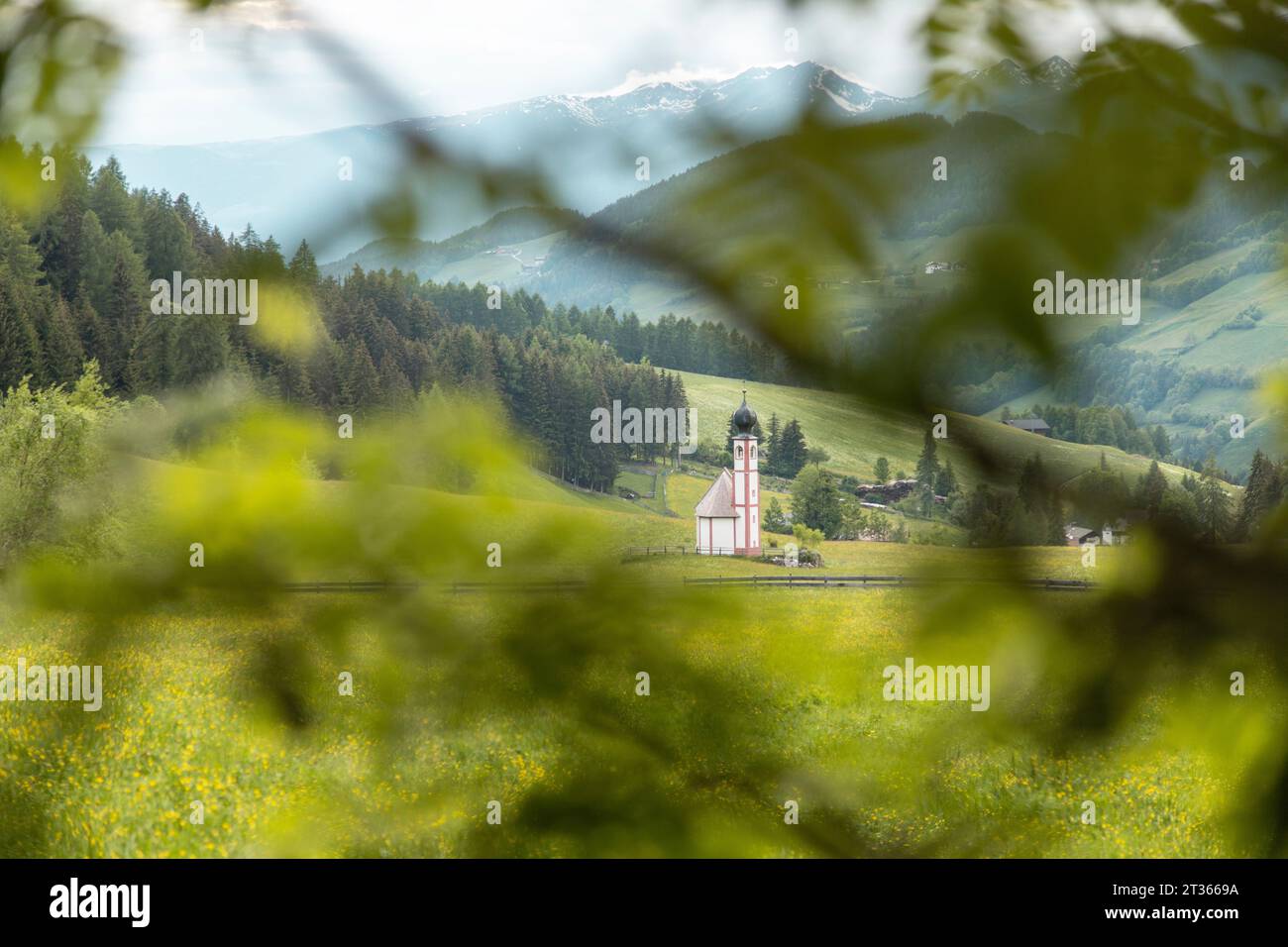 Church of St. Magdalena in front of mountains and pine forest Stock Photo
