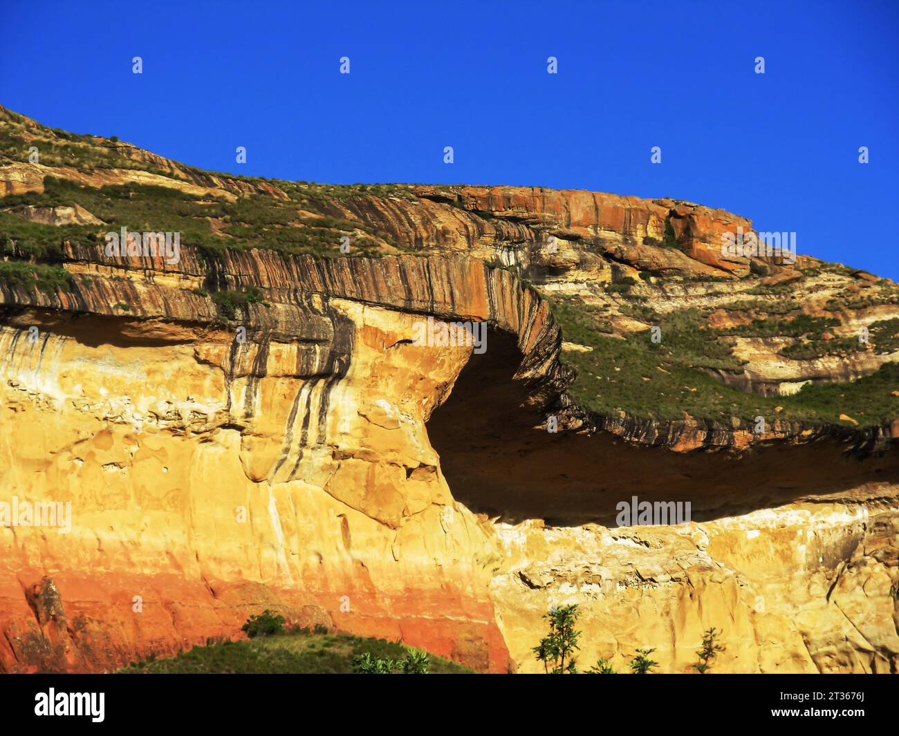 Curves along the top of the brilliant golden colored Mushroom rock in ...