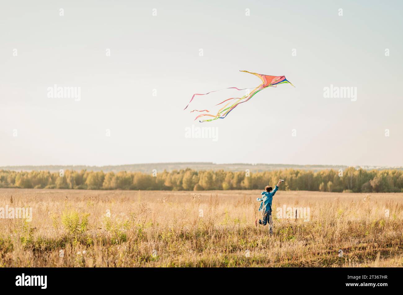 Playful boy flying kite in field Stock Photo