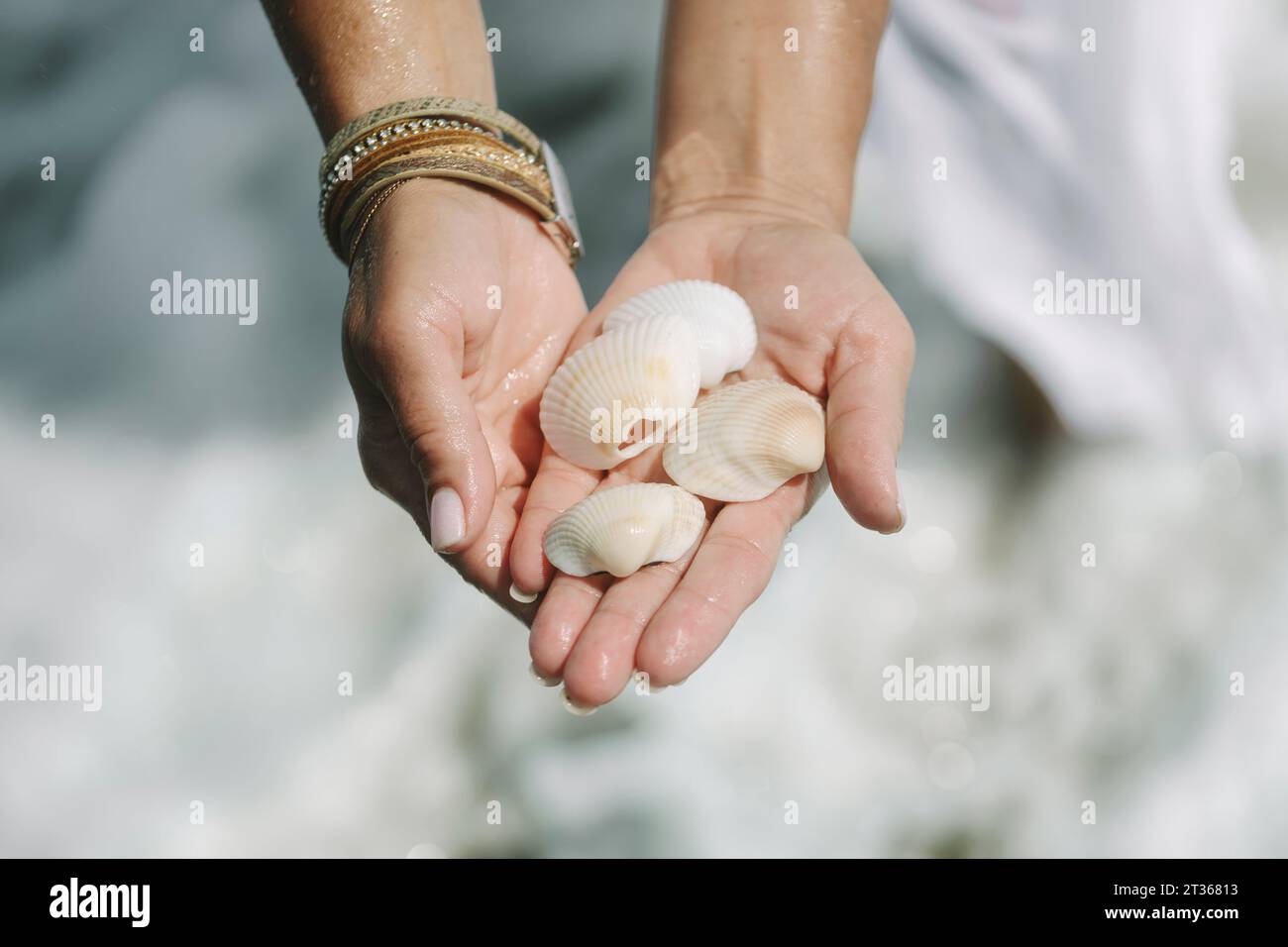 Woman holding seashells in hand at beach Stock Photo