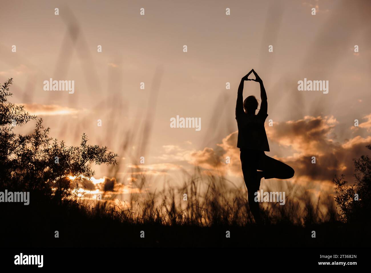 Silhouette woman practicing tree pose yoga at sunset Stock Photo - Alamy