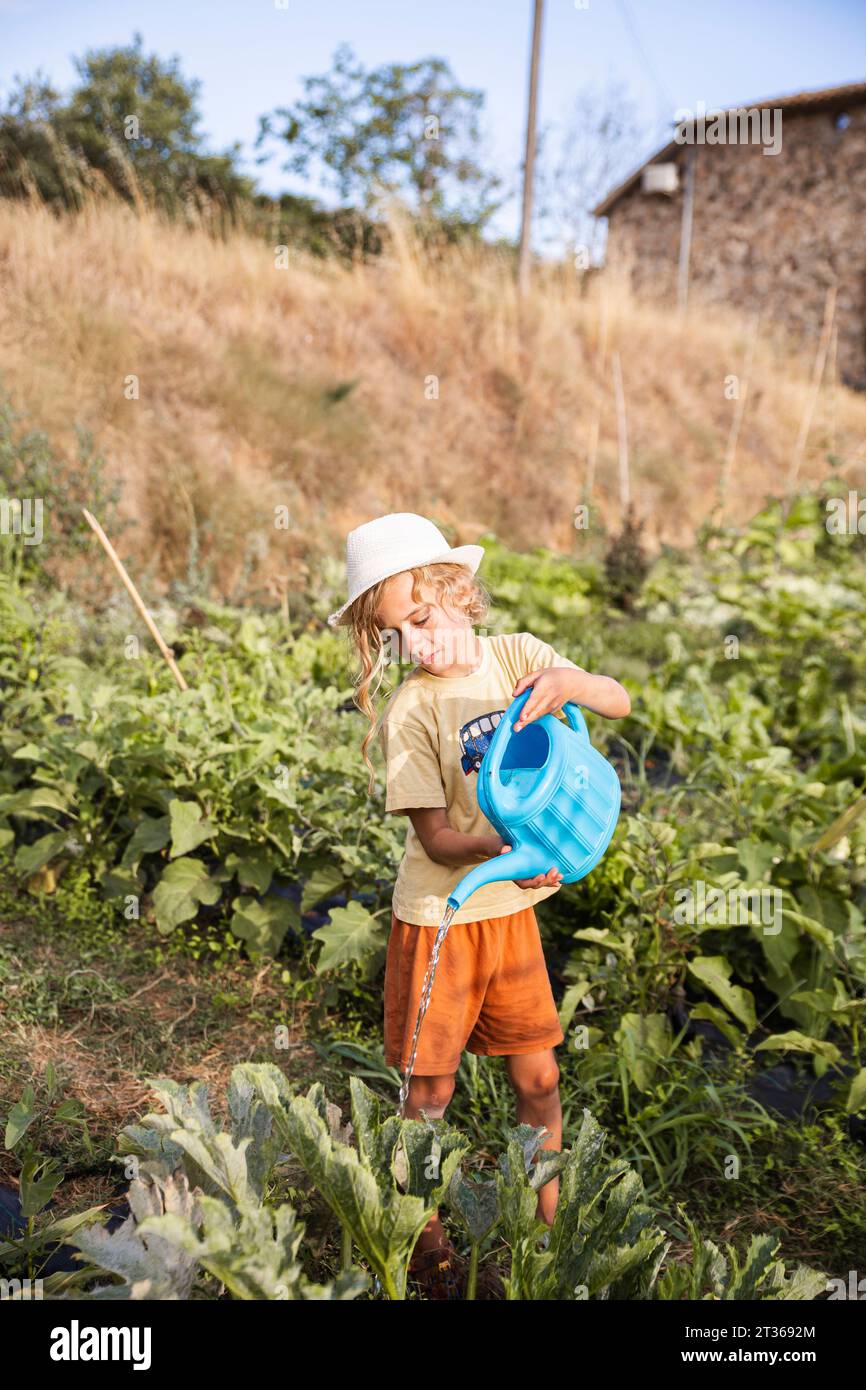 Boy watering plants in vegetable garden Stock Photo - Alamy
