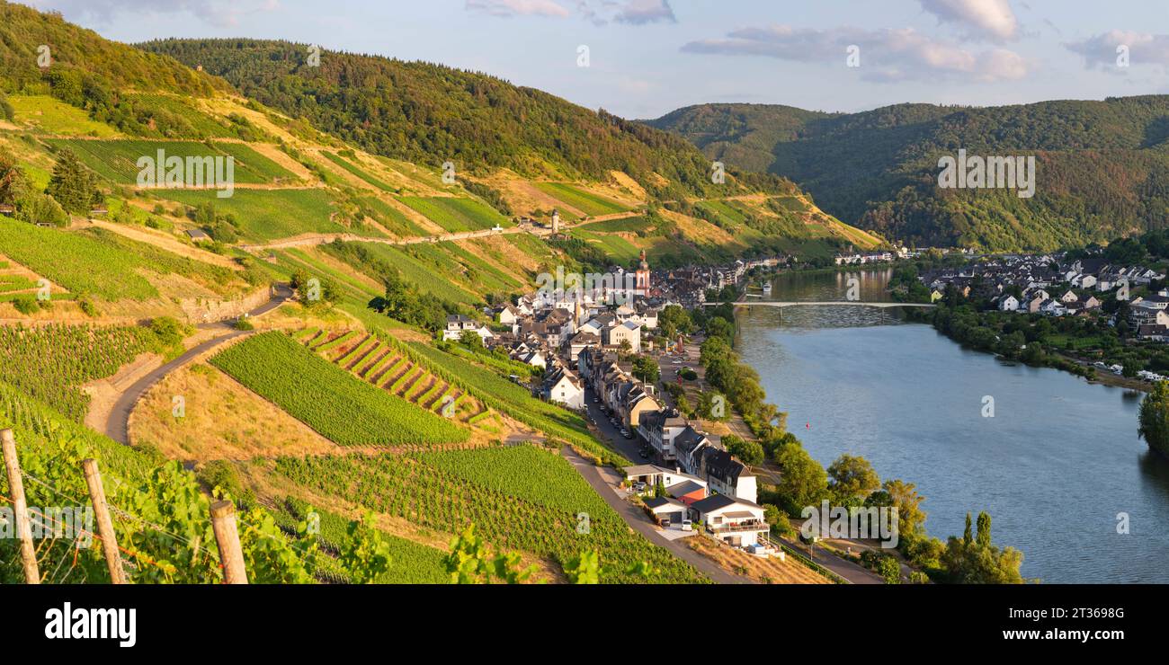 Germany, Rhineland-Palatinate, Zell, Village in Mosel Valley with vineyards in foreground Stock Photo