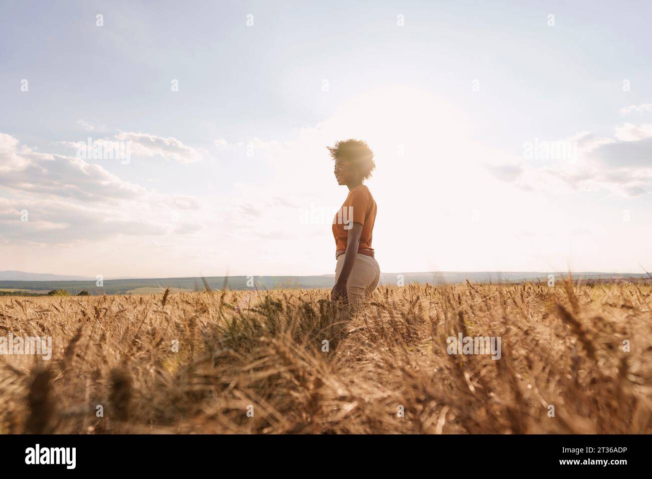 African woman work field hi-res stock photography and images - Alamy
