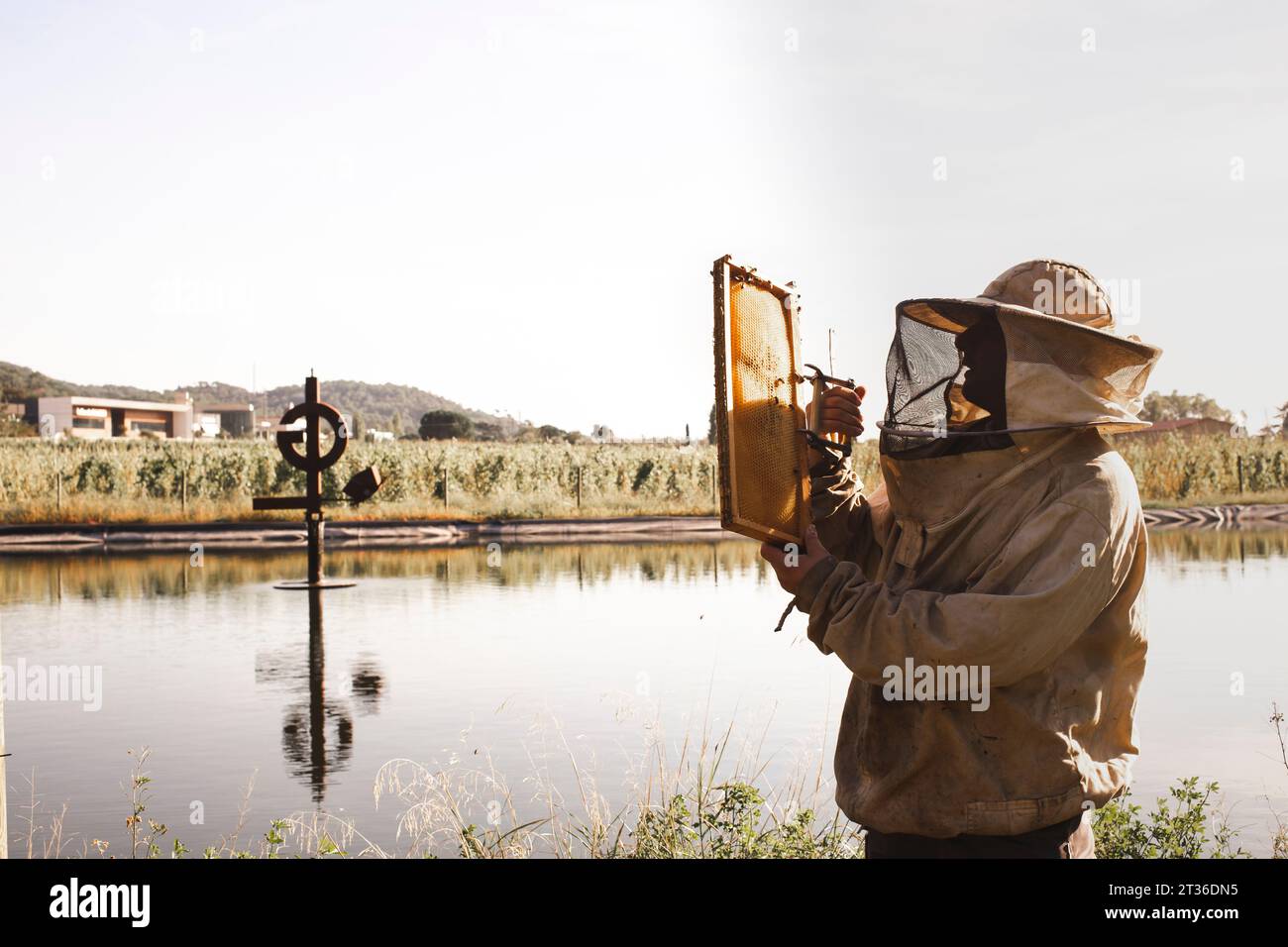 Beekeeper using tool on hive frame standing near lake Stock Photo