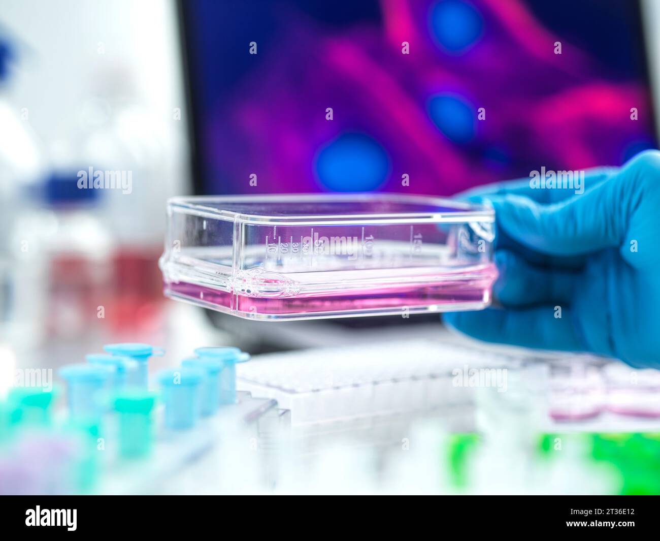 Hand of scientist experimenting with cells in laboratory Stock Photo ...