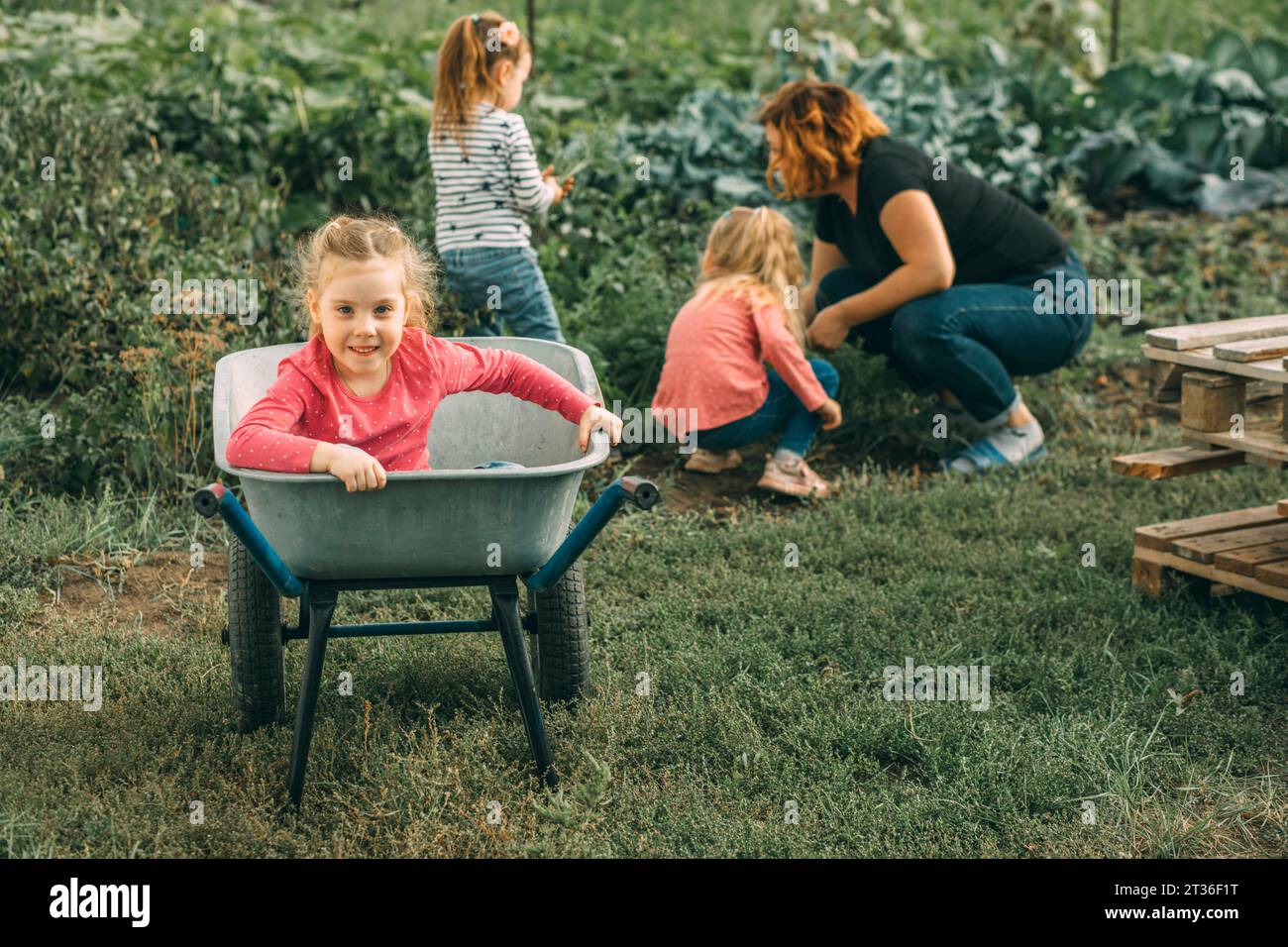 Smiling daughter sitting in wheelbarrow with mother and sisters ...