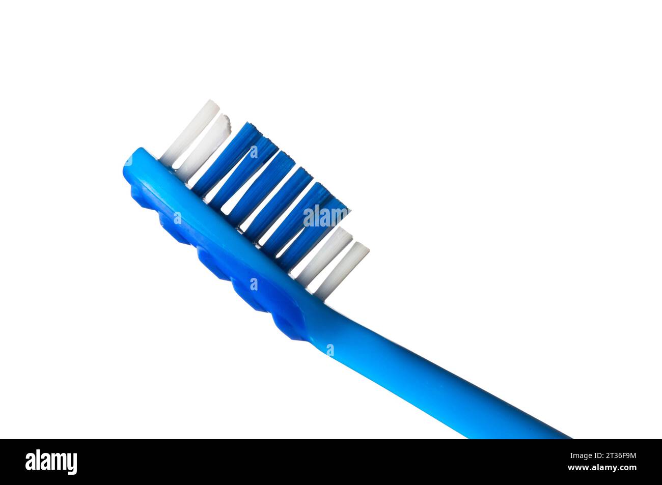 Studio shot of a blue plastic toothbrush head cut out against a white background - John Gollop Stock Photo