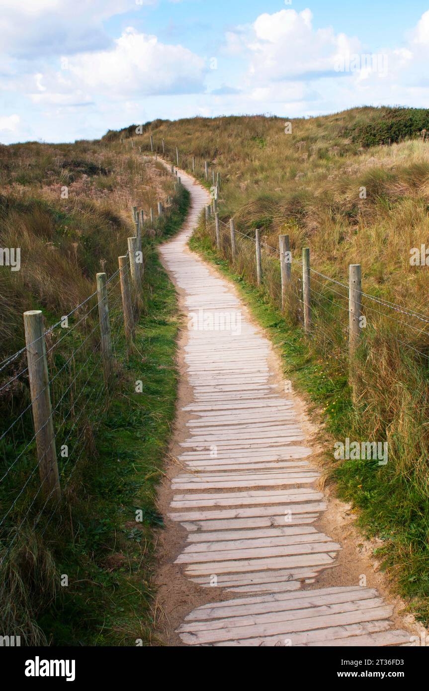 Wooden board walk allowing access to the beach but protecting the dunes and marram grass - John Gollop Stock Photo
