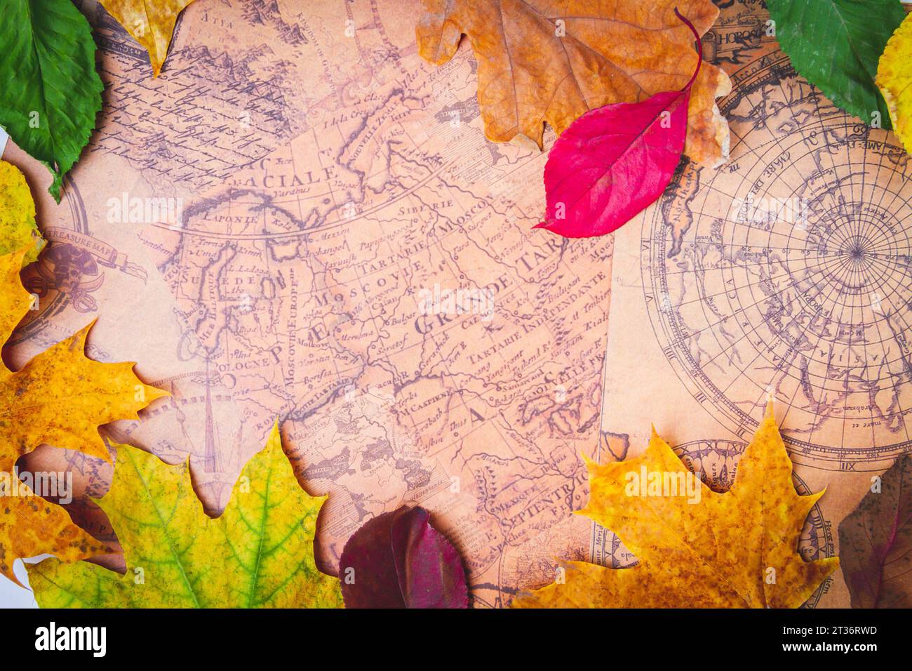 Map of leaves hi-res stock photography and images - Alamy