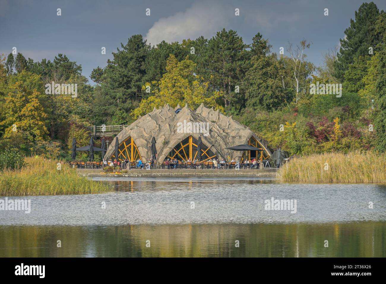 Seestern baum hires stock photography and images Alamy