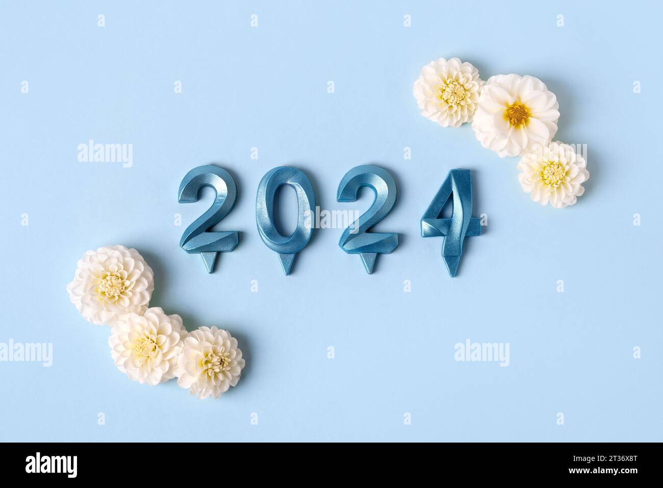 Bright blue numbers and white dahlia flowers on a blue background. 2024 new year idea concept. Simple and clean design Happy New Year 2024 and Merry C Stock Photo