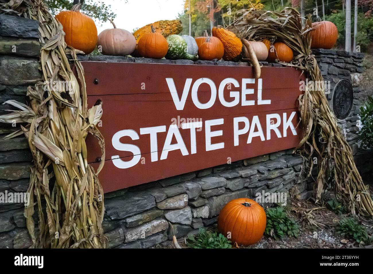 Colorful pumpkins decorate the entrance sign at Vogel State Park in the North Georgia Mountains near Blairsville. (USA) Stock Photo