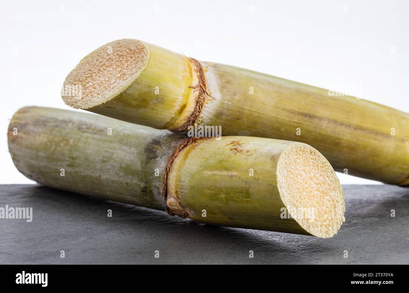 Organic sugar cane stalks Saccharum officinarum Stock Photo Alamy