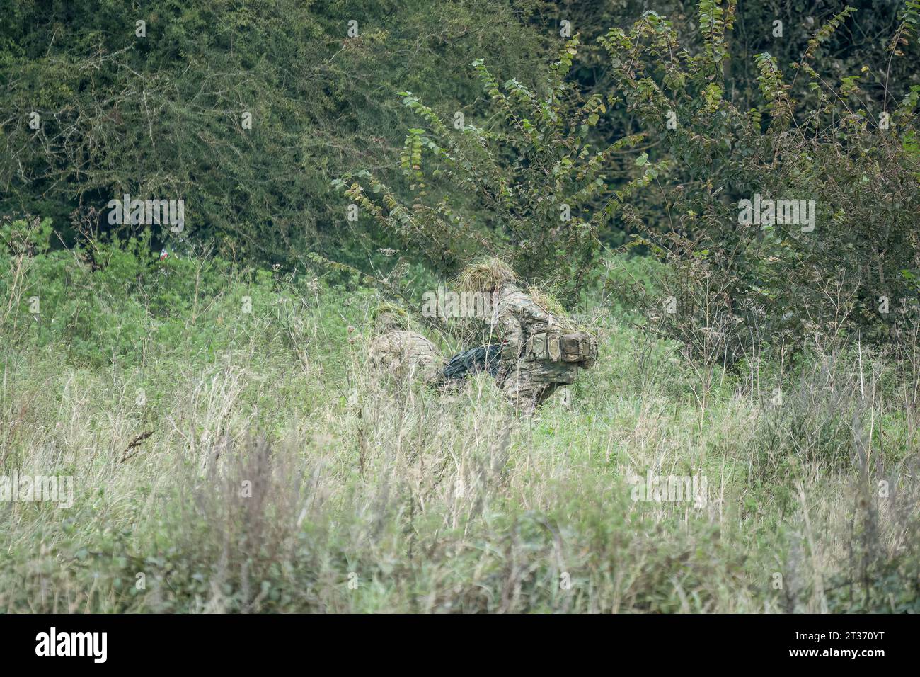 camouflaged infantry soldiers moving through woodland meadows Stock