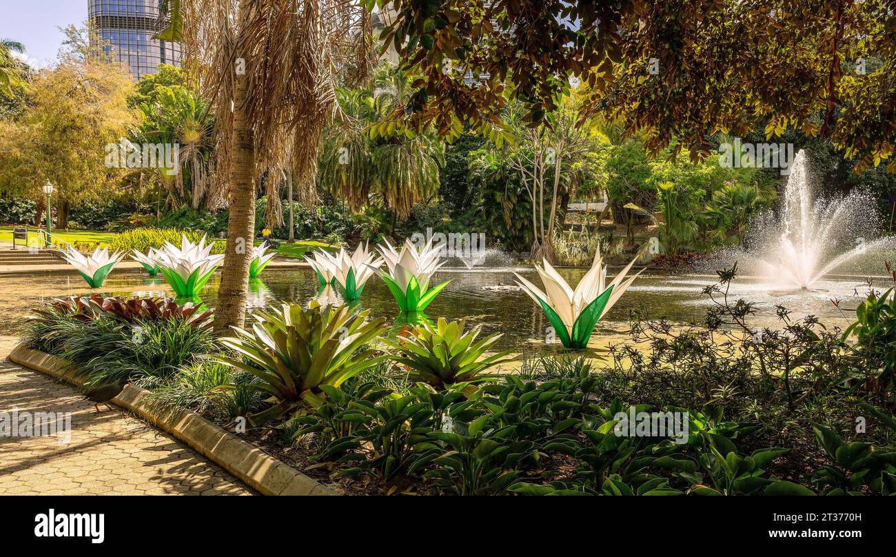 Lightscape show on in the evenings from 31 August to the 8th October in the City Botanic Gardens