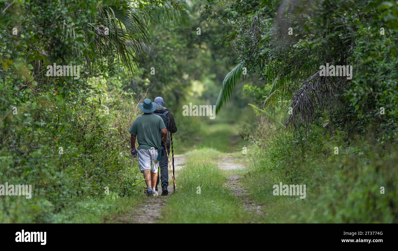 Two hikers traverse lush hi-res stock photography and images - Alamy