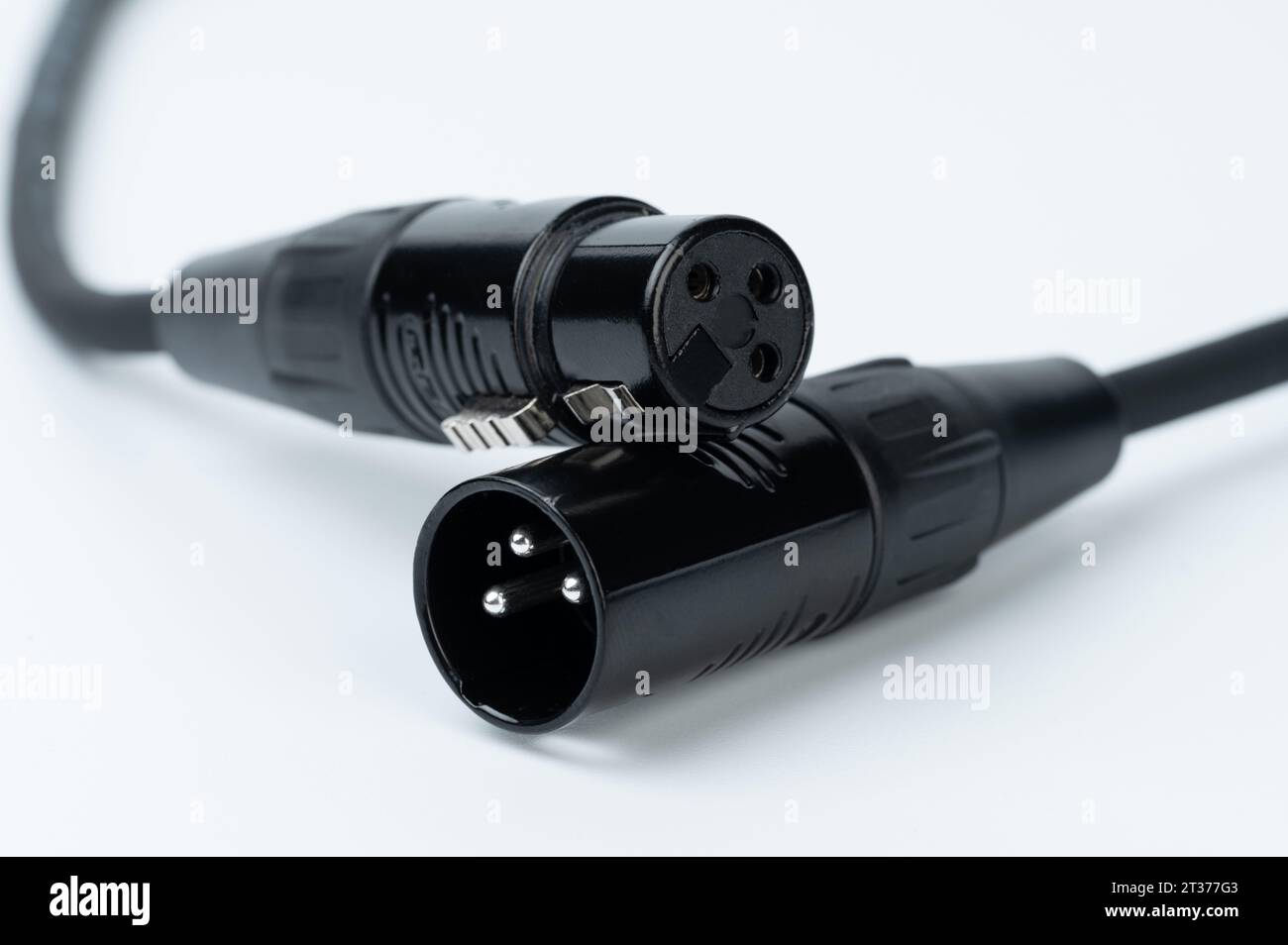 XLR cable connection ends connector close up view Stock Photo Alamy