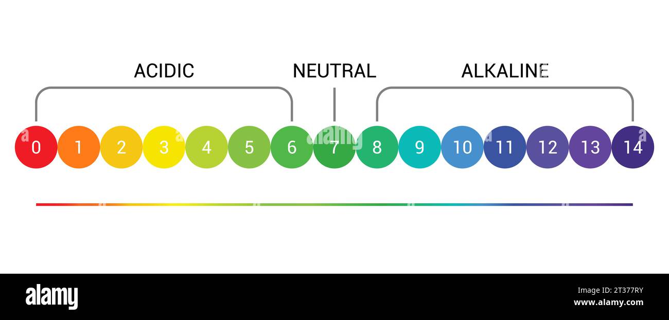 pH scale indicator chart diagram acidic alkaline measure. pH analysis