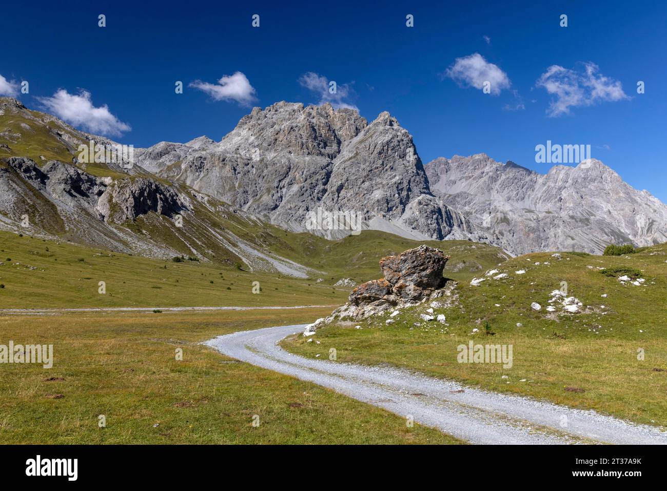 Val Mora near Doess Radond, in the background Piz Murtaroel and Piz ...