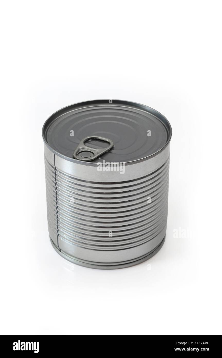 https://c8.alamy.com/comp/2T37ARE/grey-metallic-tin-can-cylindrical-shaped-sealed-food-container-2T37ARE.jpg