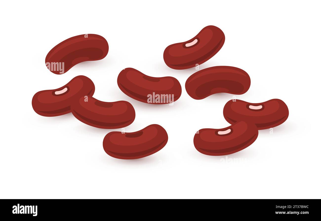 Kidney beans legume red brown seed. Kidney bean plant vegetable