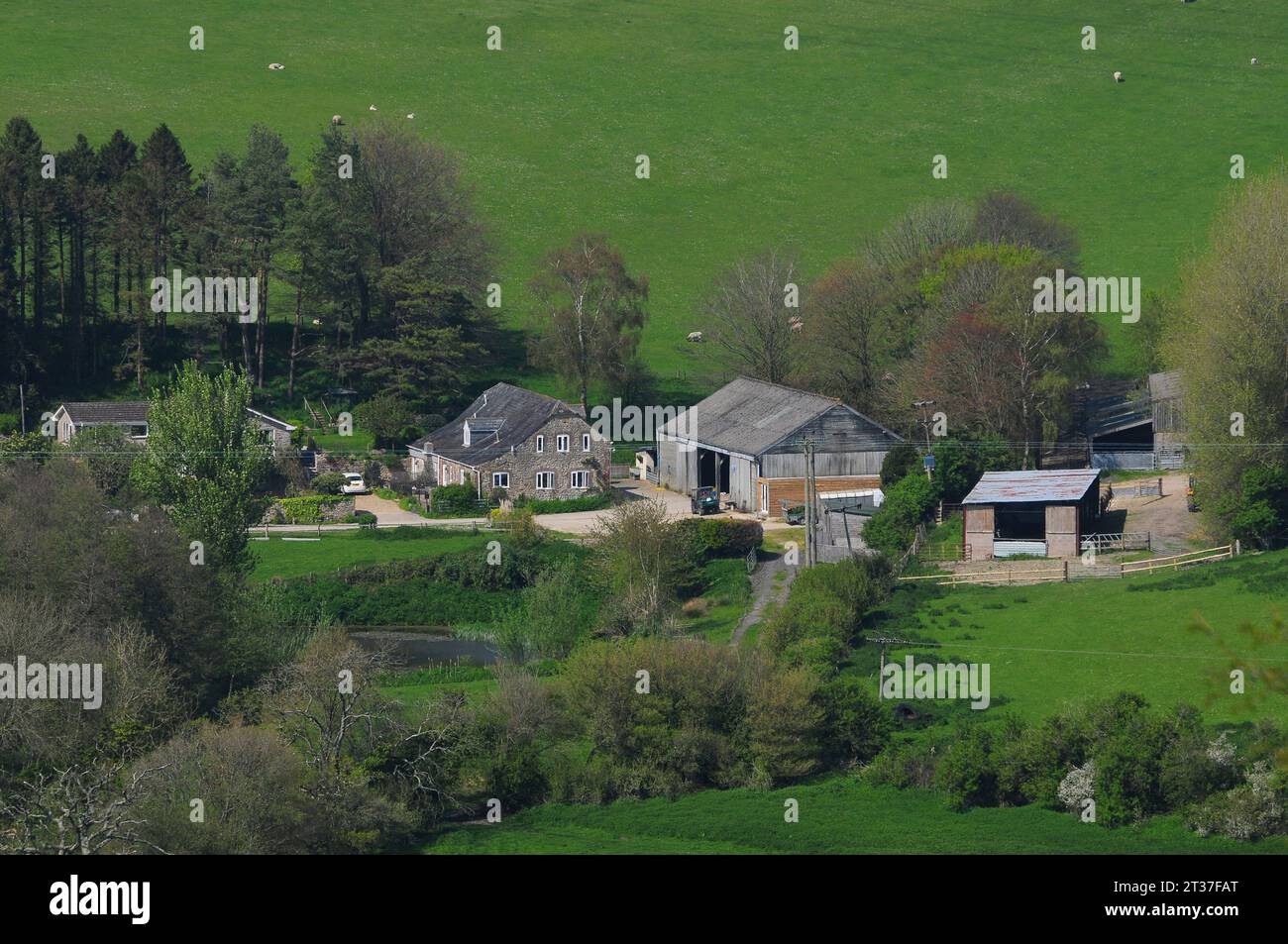 Farm on the edge of the village of Askerswell in West Dorset, UK Stock Photo