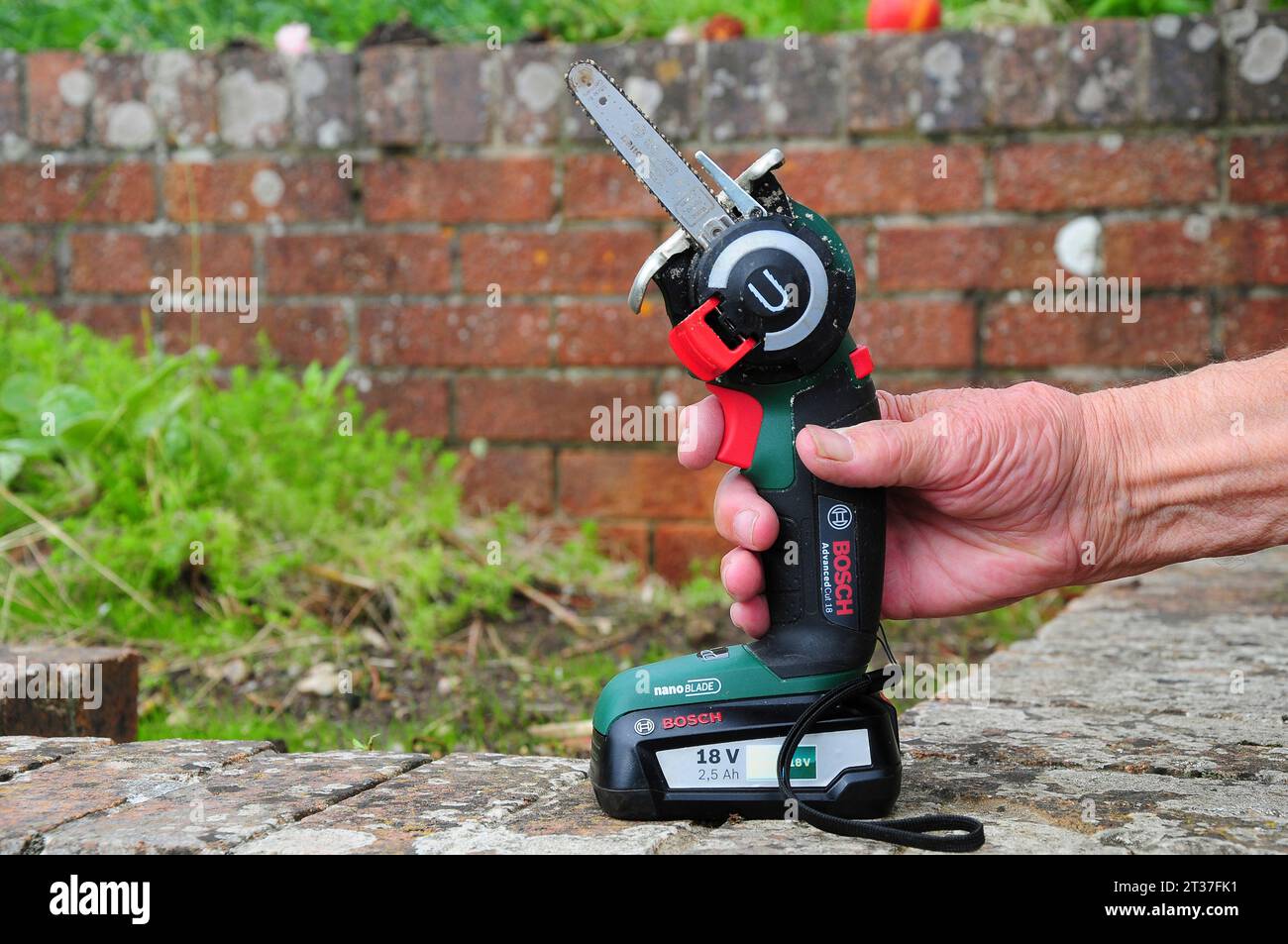 Bosch AdvancedCut18 pruning saw with Nano blade Stock Photo Alamy