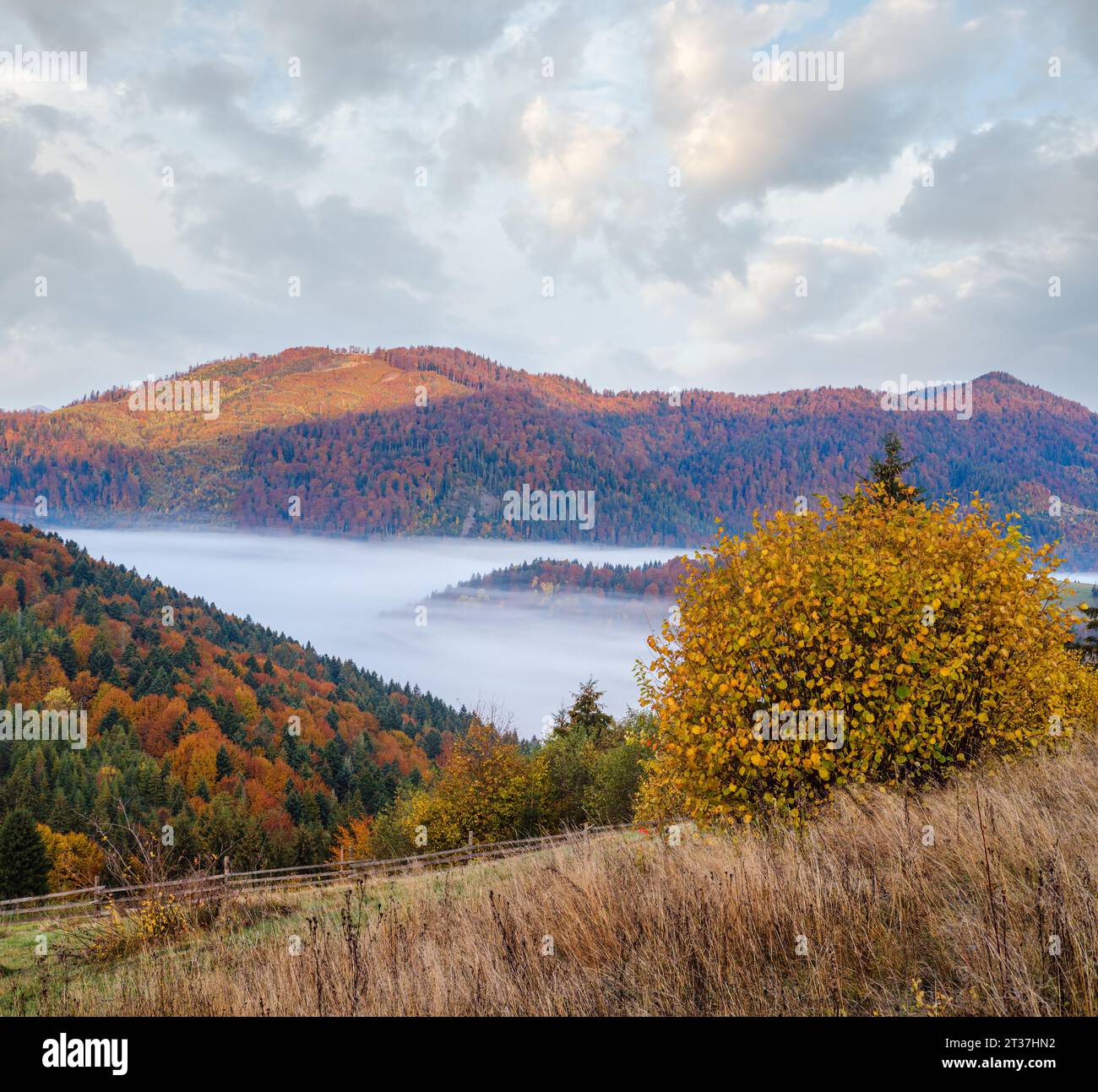Cloudy and foggy autumn mountain early morning pre sunrise scene. Peaceful picturesque traveling, seasonal, nature and countryside beauty concept scen Stock Photo