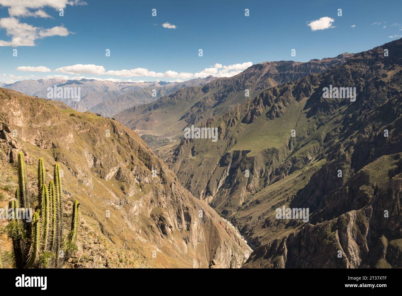 Canyon de Colca, Cabanaconde, Peru. The Rio Colca has forged an immense canyon, twice the depth of the American Grand Canyon and one of the deepest. Stock Photo
