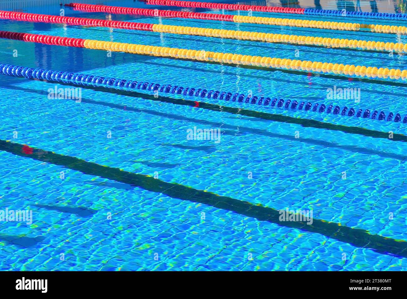 View of empty swimming pool with blue water. Swimming lanes of pool ...