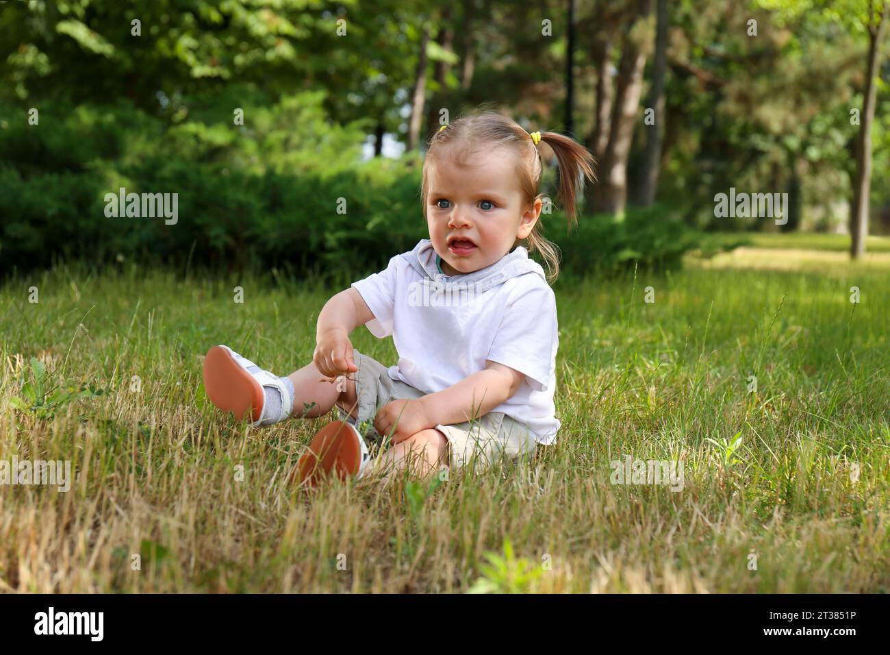 Little girl sitting on grass in park Stock Photo - Alamy