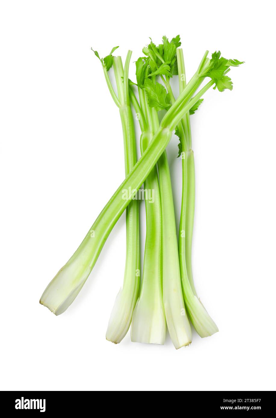 Fresh stalks of celery isolated on white, top view Stock Photo