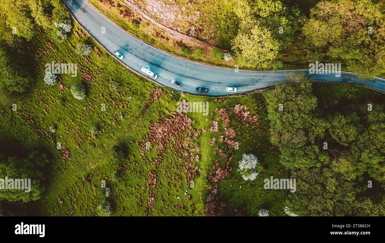 A close-up of a car driving down a scenic country road lined with trees ...