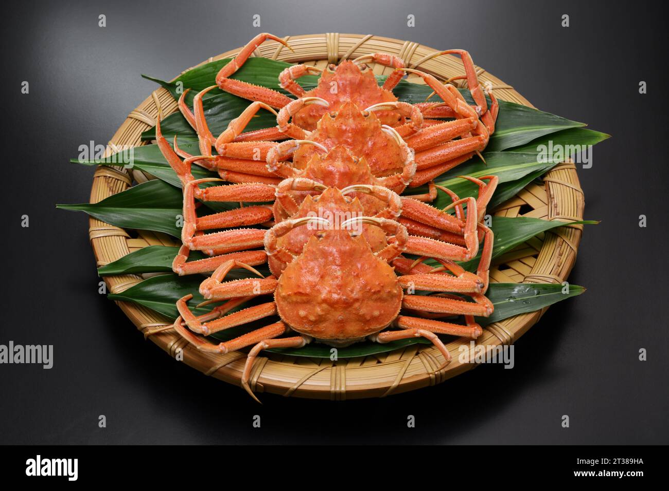 steamed Japanese snow crab (female) on bamboo tray Stock Photo