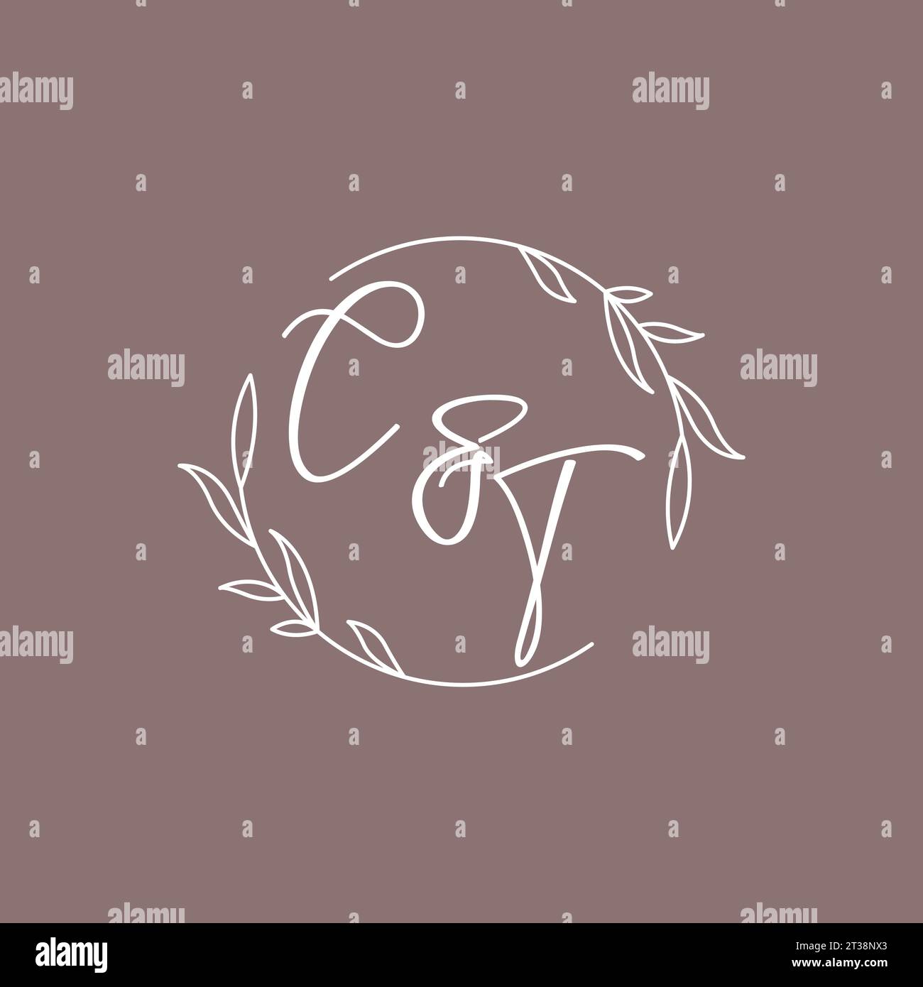 CT wedding initials monogram logo ideas vector graphic Stock Vector