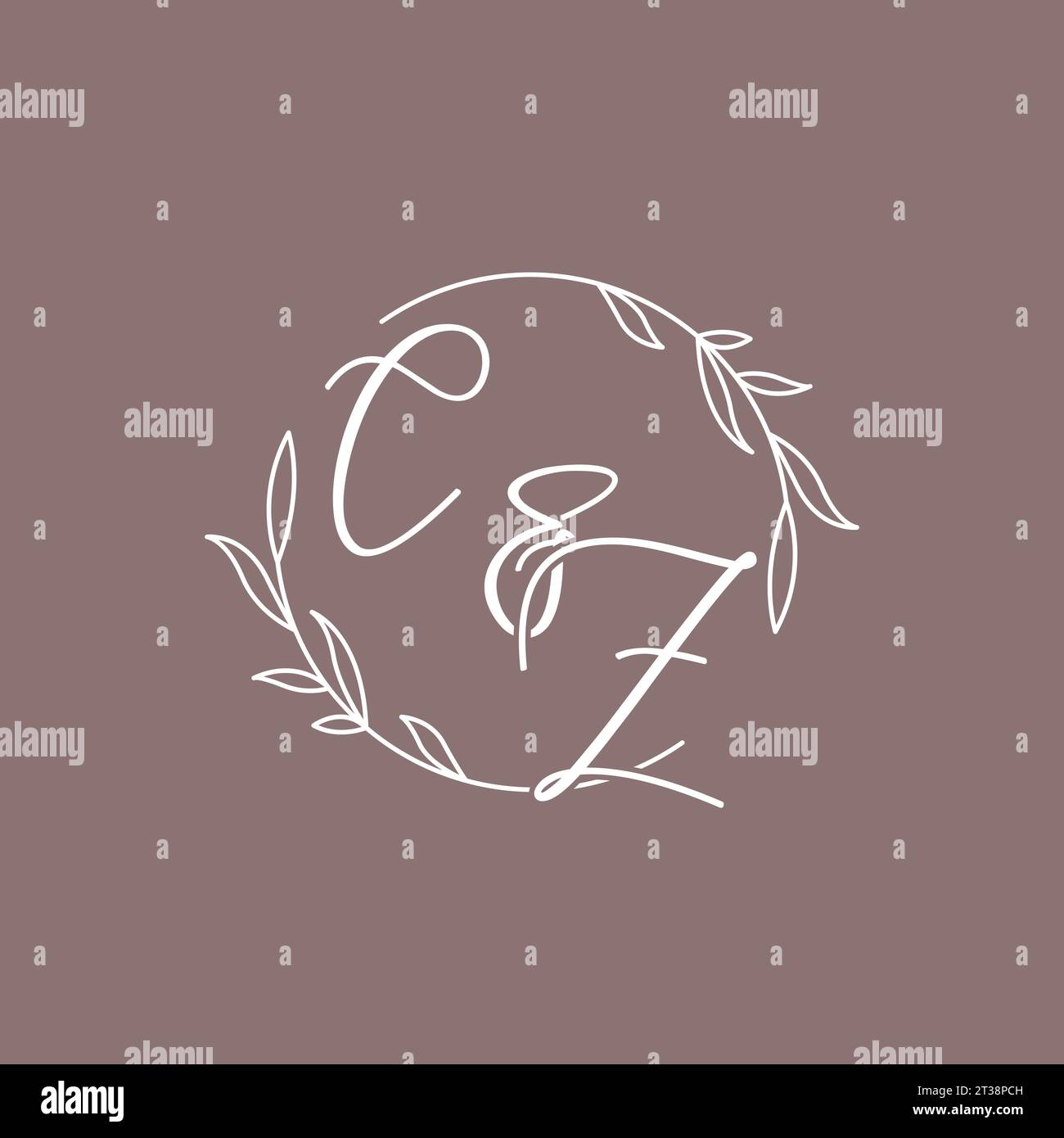 CZ wedding initials monogram logo ideas vector graphic Stock Vector