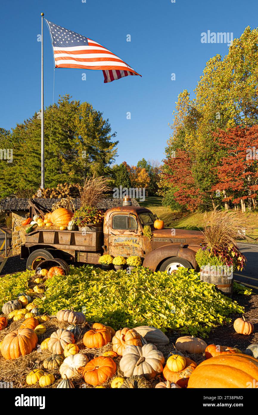 Fall display at the entrance to the Georgia Mountain Fairgrounds, campground, and the Hamilton Rhododendron Gardens in Hiawassee, Georgia. (USA) Stock Photo