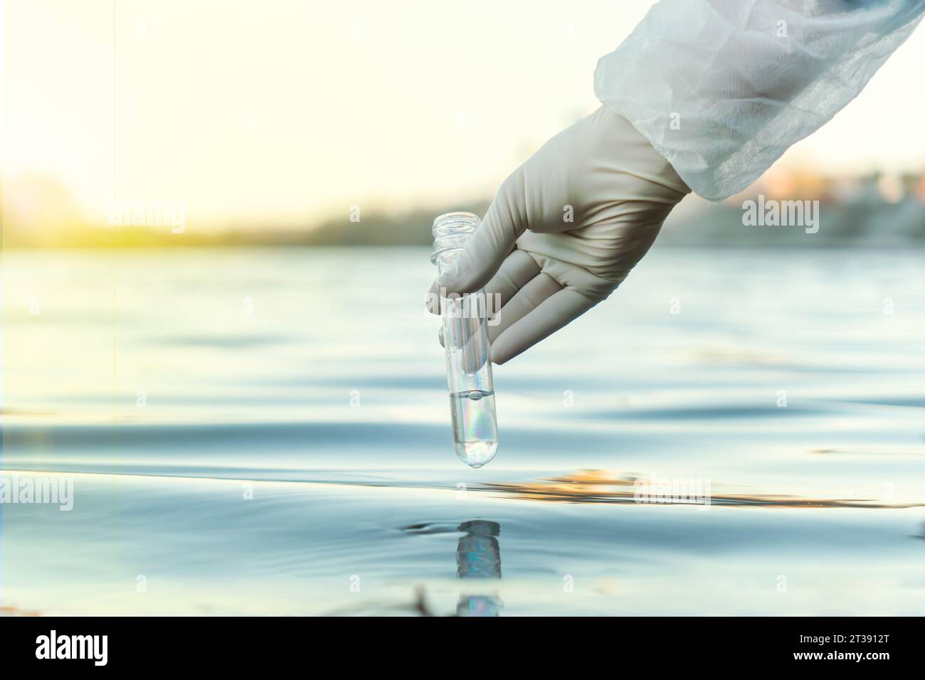 Fence, check the water sample for infections. Gloved hand with flask