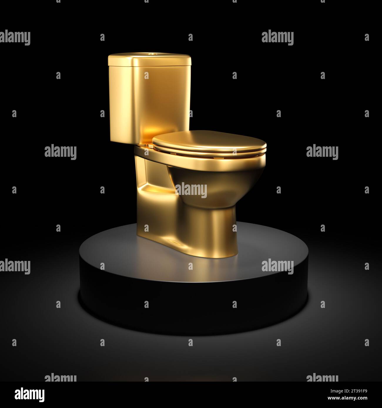 Comfortable Height Toilet WC Cistern Seat Set TALL DISABLED, 60 OFF