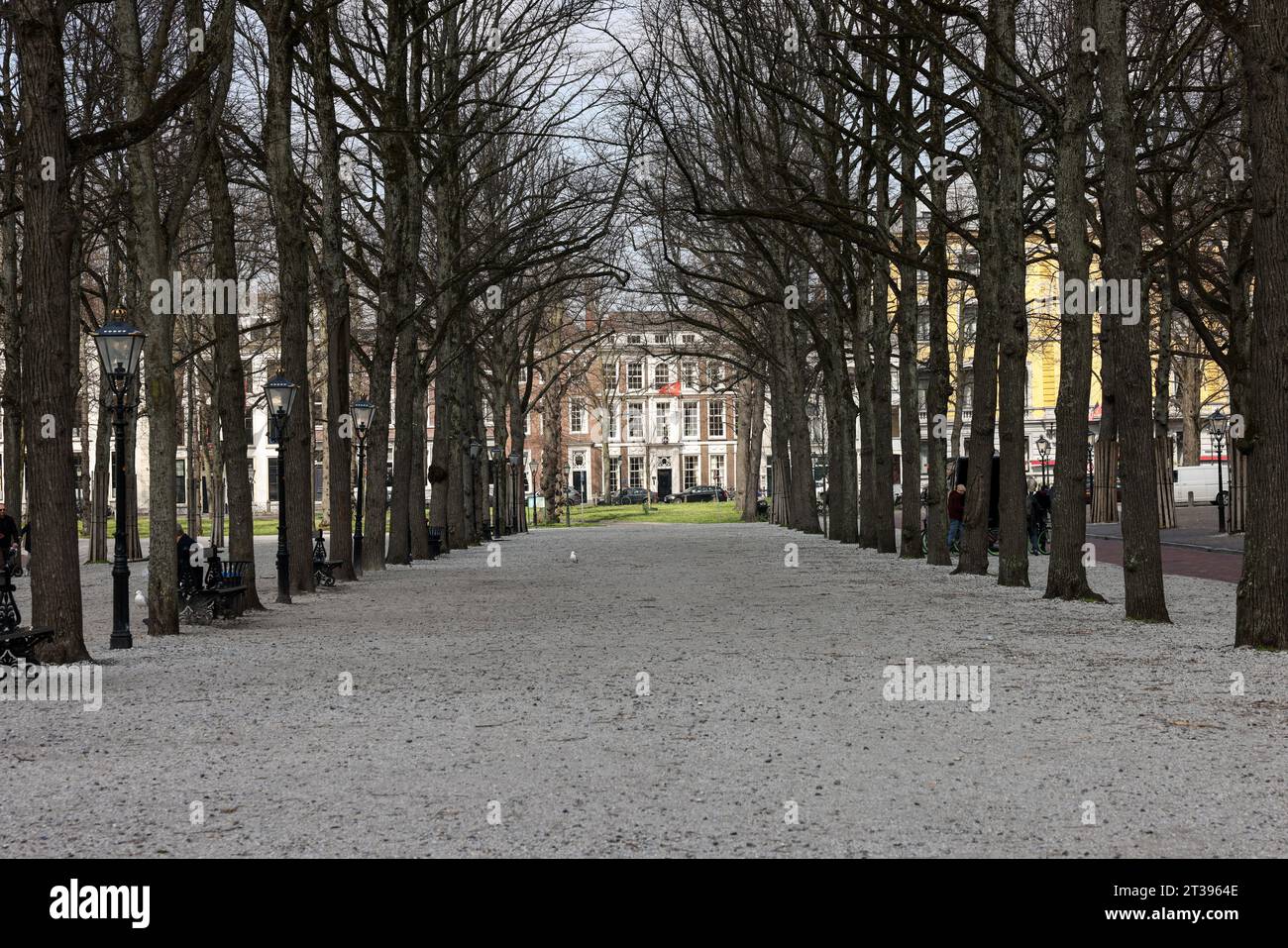 Lange voorhout hague hi-res stock photography and images - Page 5